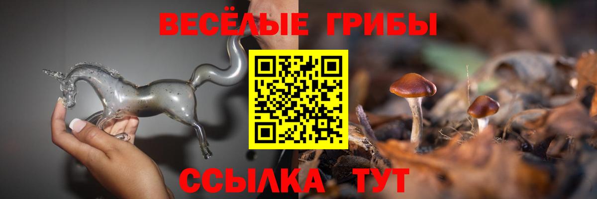 Галлюциногенные грибы Cubensis  Вход с VPN  Выкса 